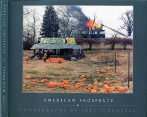 AMERICAN PROSPECTS／Joel Sternfeld ジョエル・スターンフェルドのサムネール