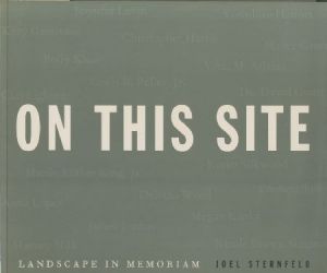 ON THIS SITE／ジョエル・スタンフェルド／(ON THIS SITE / Joel Sternfeld)のサムネール