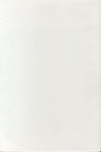 クリストファー・ウール／(Westtexaspsychosculpture / Christopher Wool)のサムネール