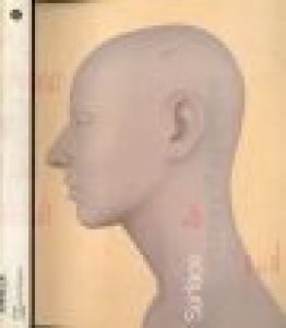 Surface:Contemporary Photographic Practice／Nobuyoshi Araki, Thomas Ruff, Glen Luchford...and more / 荒木経惟, トーマス・ルフ, グレン・ラチフォード他のサムネール