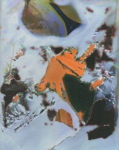 「Color Photographs / Daisuke Yokota」画像1