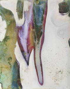 「Color Photographs / Daisuke Yokota」画像2