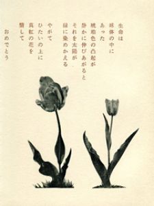 「武井武雄刊本作品38　Sphere / 武井武雄」画像1