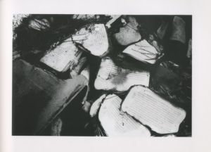 「景 / 写真：溝口健司」画像5