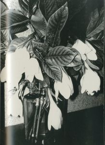 「凶区 / 森山大道」画像1