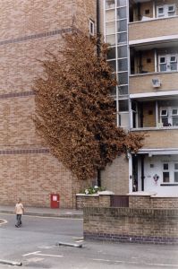 「Neue Welt / Wolfgang Tillmans」画像3