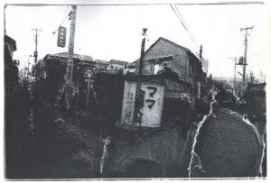 「終景　【サイン入】 / 荒木経惟」画像4