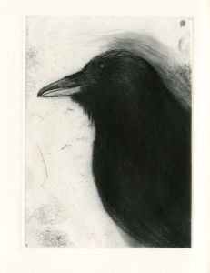 「KALI　Etching 15sheets / Jim Dine」画像7