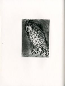 「KALI　Etching 15sheets / Jim Dine」画像17