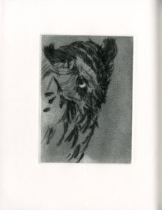 「KALI　Etching 15sheets / Jim Dine」画像18