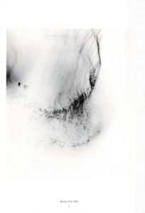 「Wolfgang Tillmans Wako Book 2 / Wolfgang Tillmans」画像3