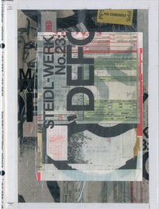 グラフィックデザイナー: テセウス・チャン　アートディレクター: マリナ・リム  安野谷昌穂／(STEIDL-WERK magazine No.23: “DEFORMED” / Graphic Designer: Theseus Chan 　Art Director: Marina Lim　Masaho Anotani)のサムネール