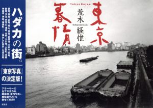 東京暮情／荒木経惟／(Tokyo Bojou / Nobuyoshi Araki)のサムネール