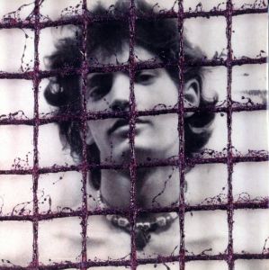 ロバート・メイプルソープ／(ALTARS / Robert Mapplethorpe　)のサムネール