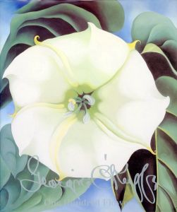 Georgia O'Keeffe: One Hundred Flowers / 著：ジョージア・オキーフ　編：ニコラス・キャラウェイ