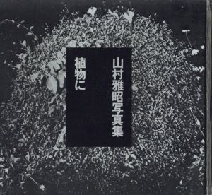 植物に / 写真：山村雅昭
