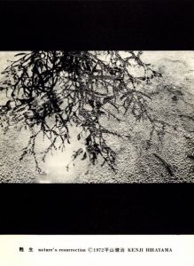 「甦生 / 平山健治」画像4