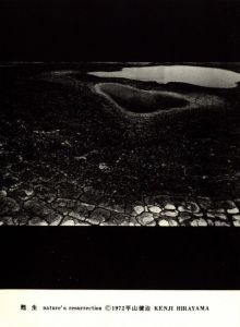「甦生 / 平山健治」画像6