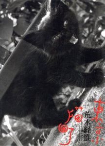 東京猫町／荒木経惟／(Living Cats in Tokyo / Nobuyoshi Araki)のサムネール