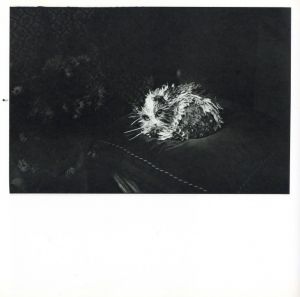 「植田正治小旅行写真帖 音のない記憶 / 植田正治」画像3