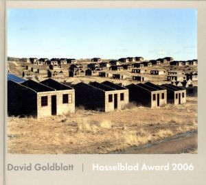 Hasselblad Award 2006 / David Goldblatt