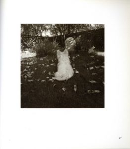 「I HEAR THE LEAVES AND LOVE THE LIGHT / Robert Adams」画像1