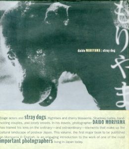 森山大道／(stray dog / Daido Moriyama)のサムネール