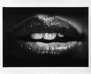 Halo【サイン入】／森山大道／(Halo【SIGNED】 / Daido Moriyama)のサムネール