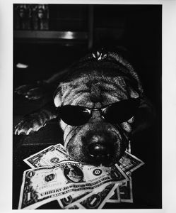 ハワイ 1【サイン入】／森山大道／(Hawaii 1【SIGNED】 / Daido Moriyama)のサムネール