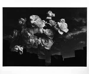 Untitled【サイン入】／森山大道／(Untitled【SIGNED】 / Daido Moriyama)のサムネール
