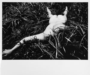蜉蝣【サイン入】／森山大道／(Kagerou -Mayfly【SIGNED】 / Daido Moriyama)のサムネール