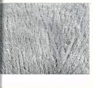 「Hysteric　松江泰治 / 松江泰治」画像2