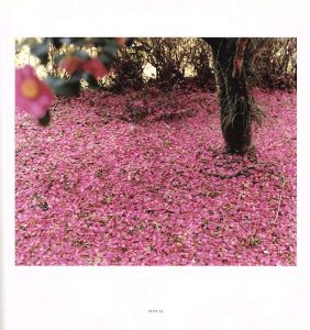 「MONKEY PUZZLE / Yoko Ikeda」画像3