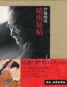 晴雨秘帖／伊藤晴雨／(Seiu Hicho / Seiu Itou)のサムネール