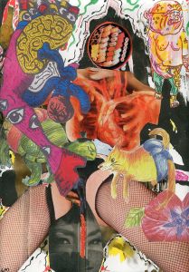 コラージュ／根本敬／(Collage / Takashi Nemoto)のサムネール