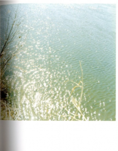 「うたたね / 川内倫子」画像3