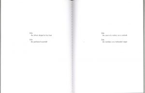 「Soleil Cou Coupe / Julien Coulommier」画像1