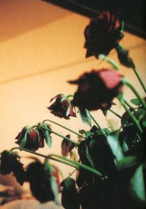 「HIROMIX / Author: HIROMIX　Edit: Patrick Remy」画像1