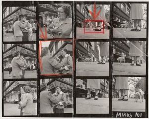 「Contact Sheet Print: Chihuahua New York Elliott Erwitt / エリオット・アーウィット」画像1