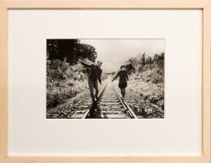 秋桜子 COSMOSCO／荒木経惟／(COSMOSCO / Nobuyoshi Araki)のサムネール