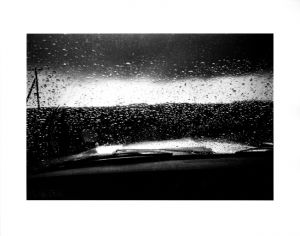Wetlands【サイン入】／森山大道／(Wetlands【SIGNED】 / Daido Moriyama)のサムネール
