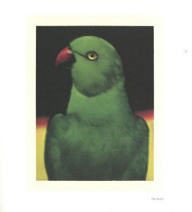 「FROM ONE SEASON TO ANOTHER / サラ・ムーン」画像3