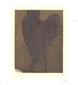 「FROM ONE SEASON TO ANOTHER / サラ・ムーン」画像7