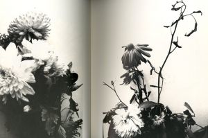 「荒木経惟　花人生 / 写真：荒木経惟　企画・監修：梶川芳友」画像1