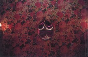「VAKAT / Author: Nan Goldin, Joachim Sartorius」画像5