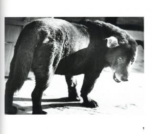 「MORIYAMA Daido 1970-1979 / 著：森山大道　編：大田通貴」画像3
