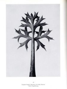 「KARL BLOSSFELDT　URFORMEN DER KUNST WUNDERGARTEN DER NATUR / Photo: Karl Blossfeldt　Text: Gert Mattenklott」画像3