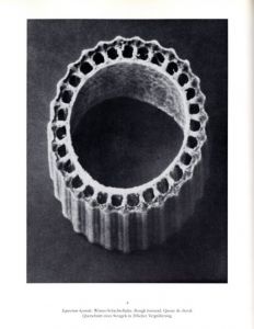 「KARL BLOSSFELDT　URFORMEN DER KUNST WUNDERGARTEN DER NATUR / Photo: Karl Blossfeldt　Text: Gert Mattenklott」画像2