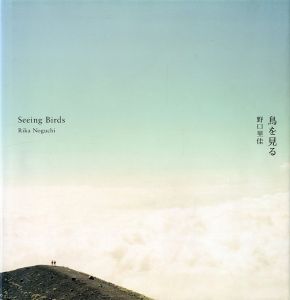 鳥を見る／野口里佳／(Seeing Birds / Rika Noguchi)のサムネール