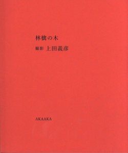 林檎の木のサムネール
